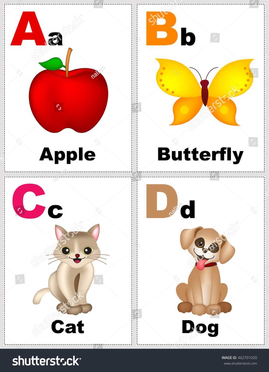 Alphabet Printable Flashcards Collection Letter B Stock Vector Royalty Free 462701020 Shutterstock