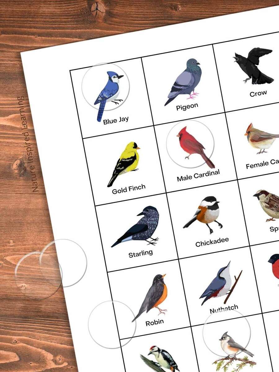 Backyard Bird Bingo Game Printable Nature Inspired Learning