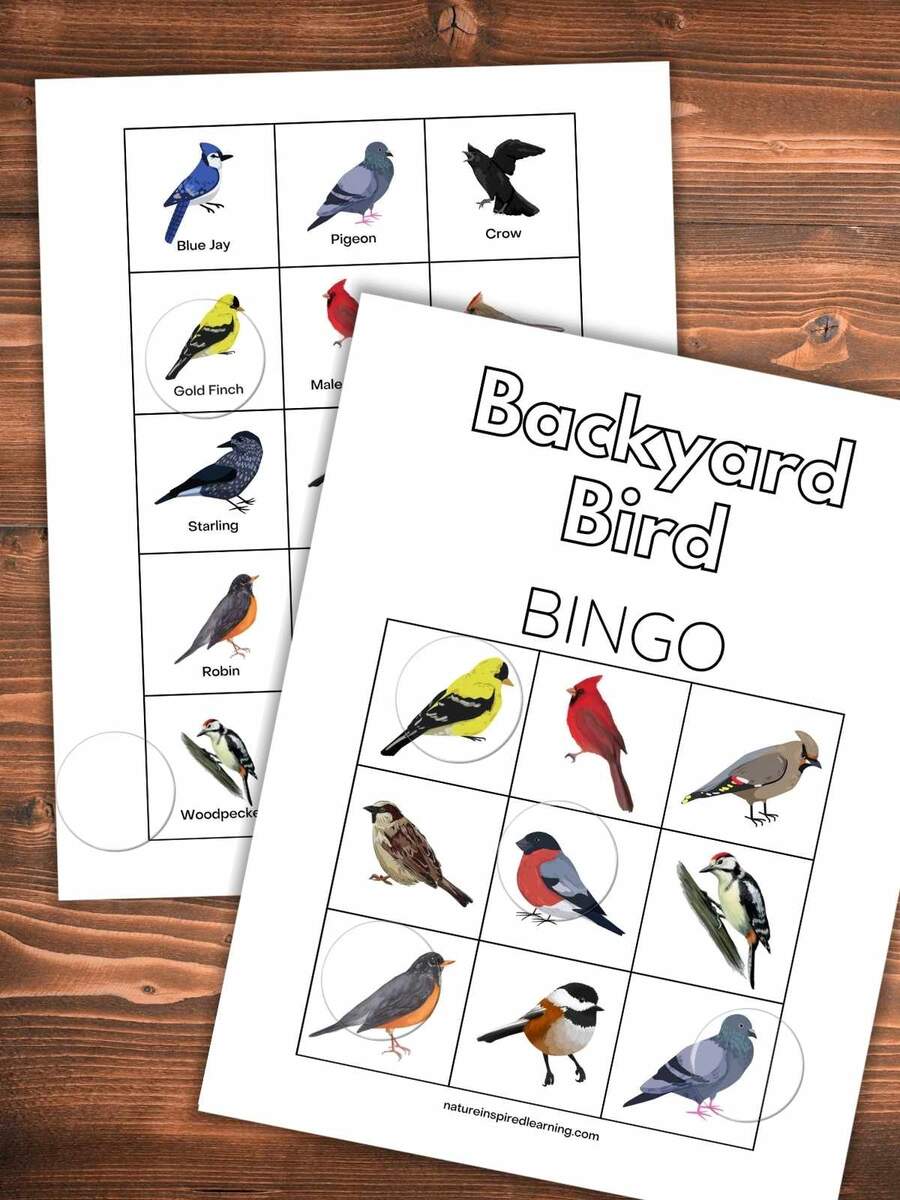 Backyard Bird Bingo Game Printable Nature Inspired Learning