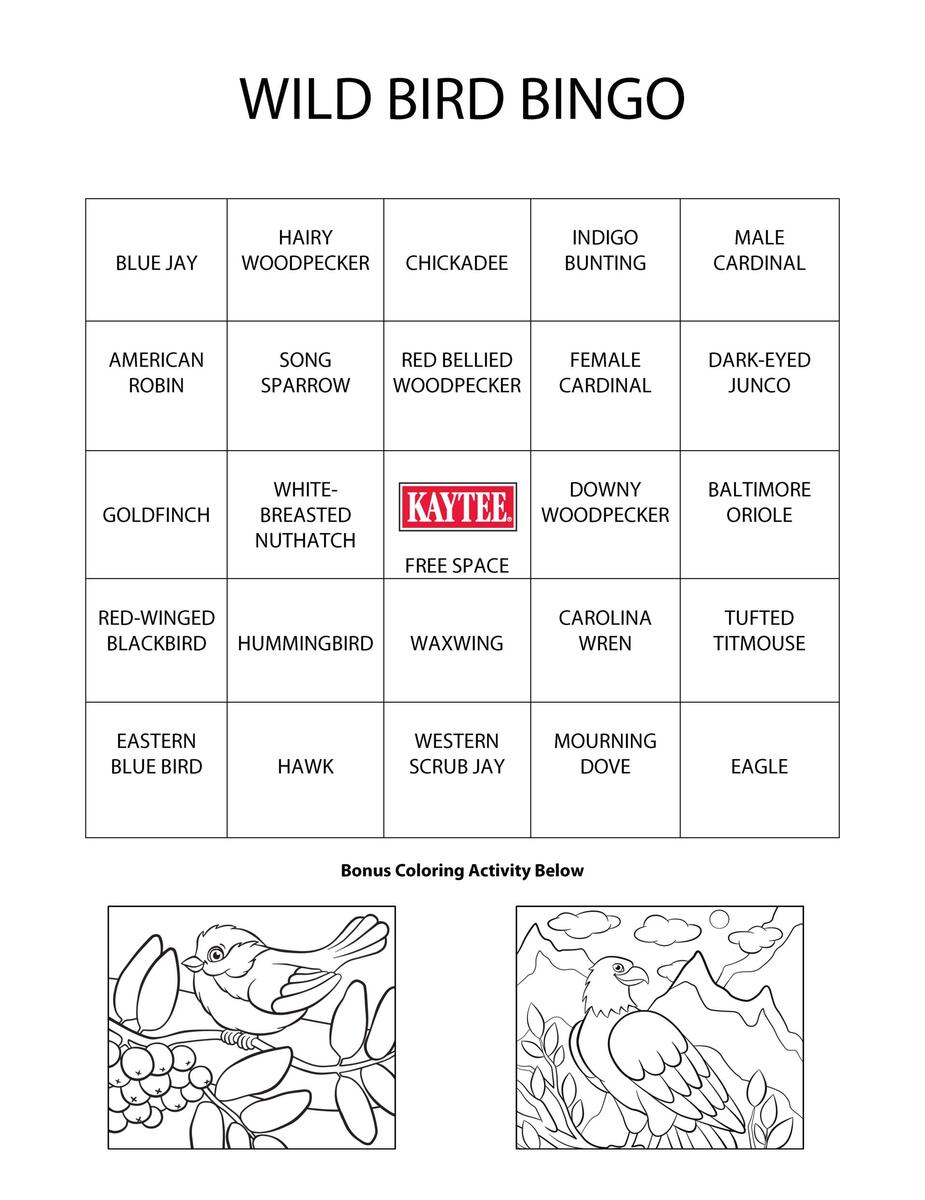 Backyard Birding Bingo Game Learn About Wild Birds Kaytee