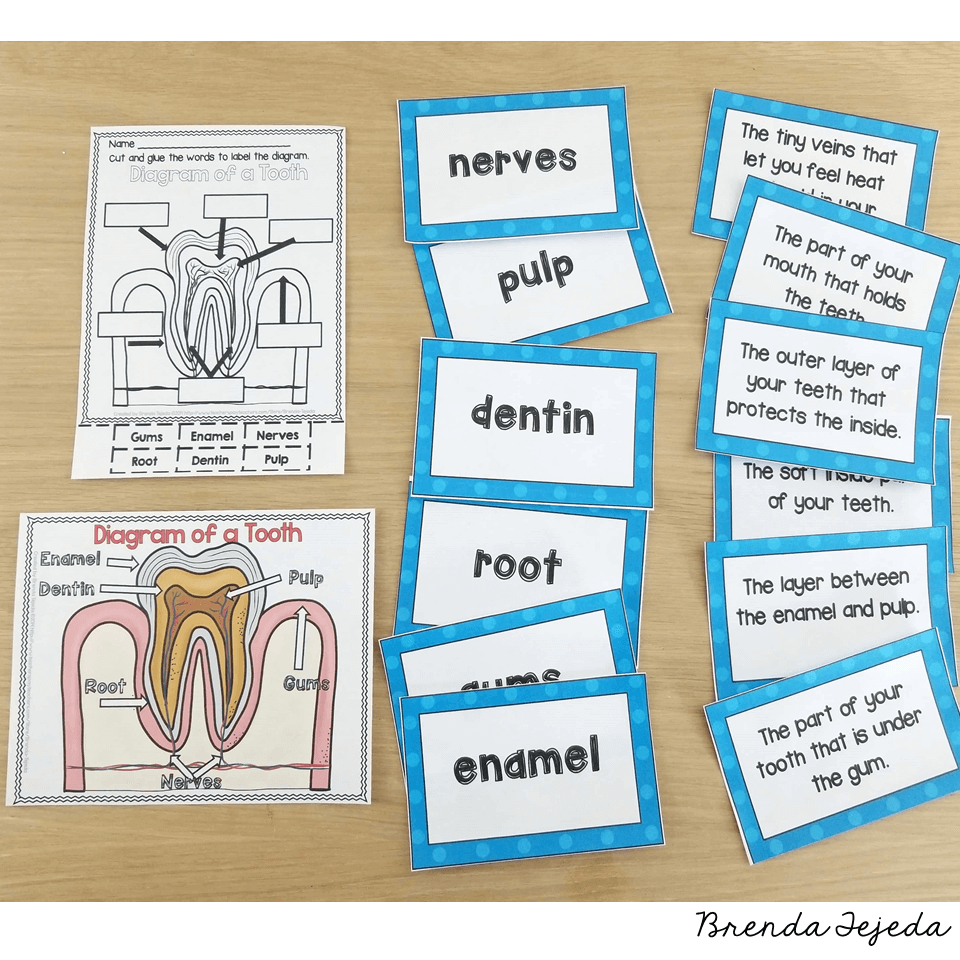 Dental Health Super Pack Science And Literacy Activities Tejeda S Tots Dental Health Super Pack Science And Literacy Activities Tejeda S Tots