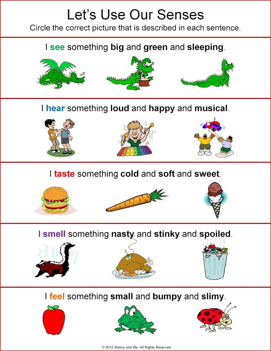 Five Sense Worksheet NEW 907 THE FIVE SENSES WORKSHEETS PRESCHOOL