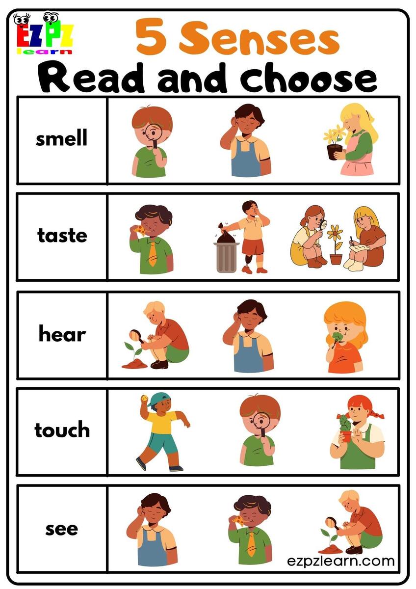 Five Senses Read And Choose Worksheet For Kindergarten And ESL Students Free Download Ezpzlearn Five Senses Worksheet Free For Kindergarten And Grade 1