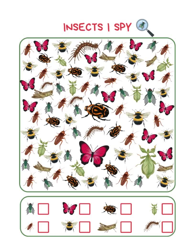 Insect I Spy Spring I Spy Printable Games Look And Find Counting Game Insects Preschool Printable Kindergarten Math Activity Spring Party Etsy Insects Game Cards Mini Flashcards Ezpzlearn