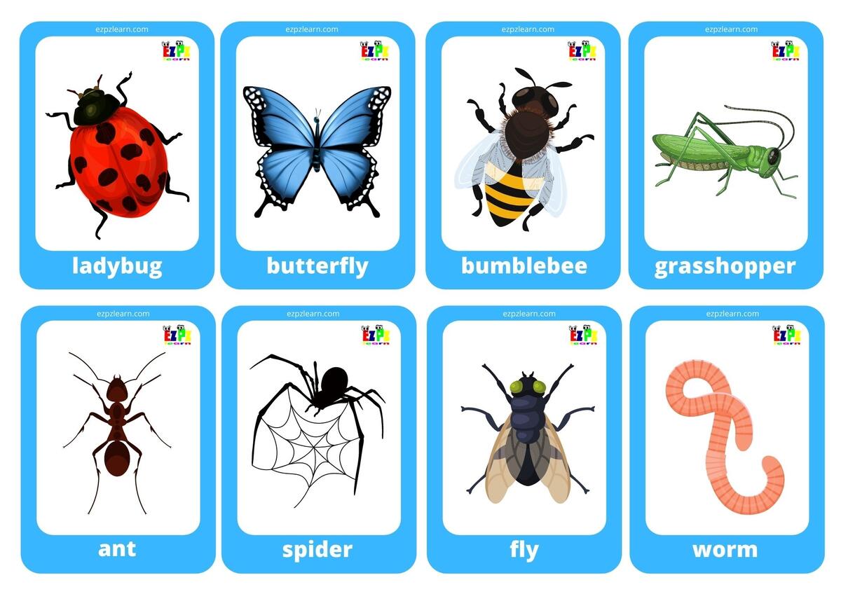 Insects Game Cards Mini Flashcards Ezpzlearn Insects Game Cards Mini Flashcards Ezpzlearn