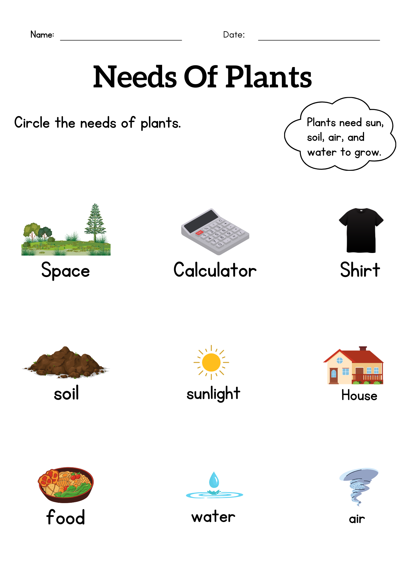 Kindergarten What Do Plants Need To Grow Worksheet Plant Basic Needs Made By Teachers