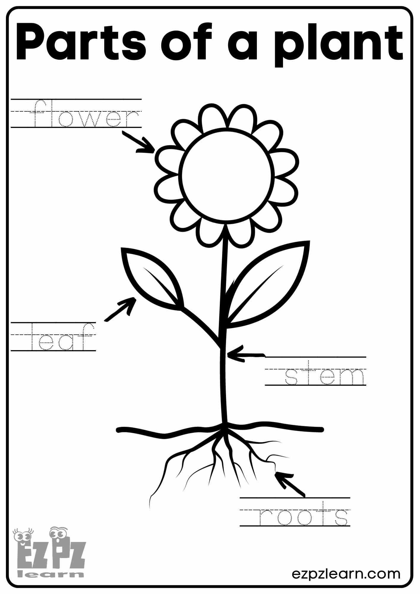 Parts Of A Flower Printable Kindergarten Classroom Decor Preschool Science Nature Homeschool Learning Worksheets Kids Etsy