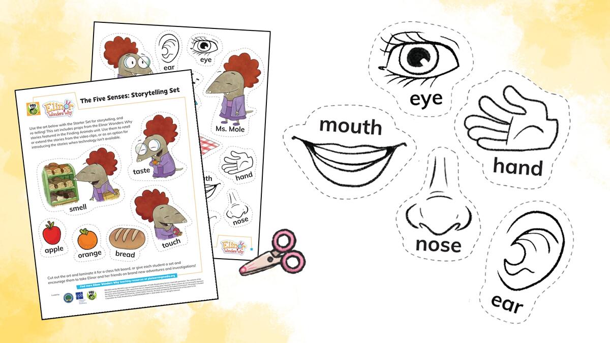 Printable Lesson Using Our Senses PBS LearningMedia