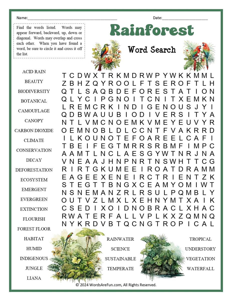 Rainforest Word Search For Kids