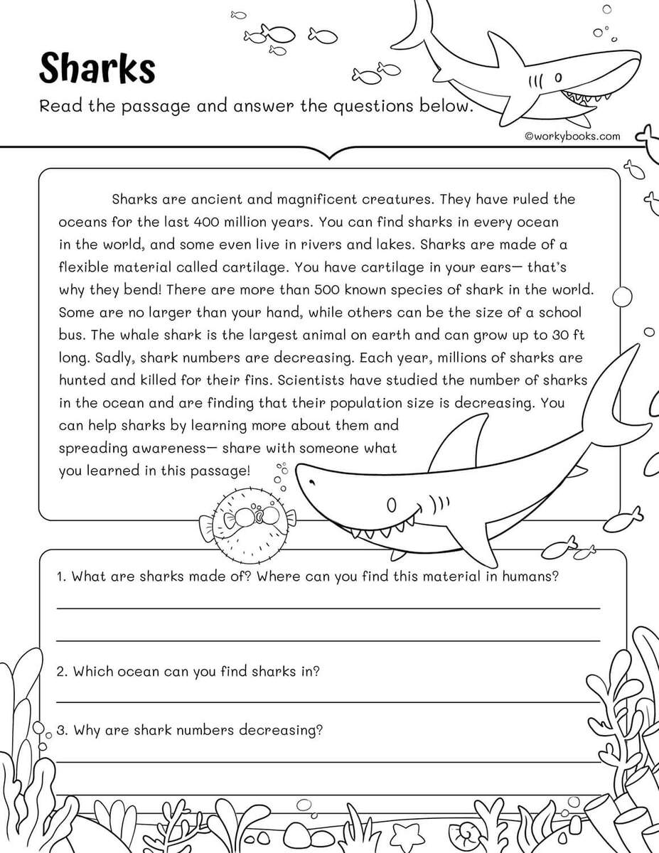 10 Free 3rd Grade Reading Fluency Passages Workybooks Third Grade Reading Worksheets Improve Fluency Vocabulary