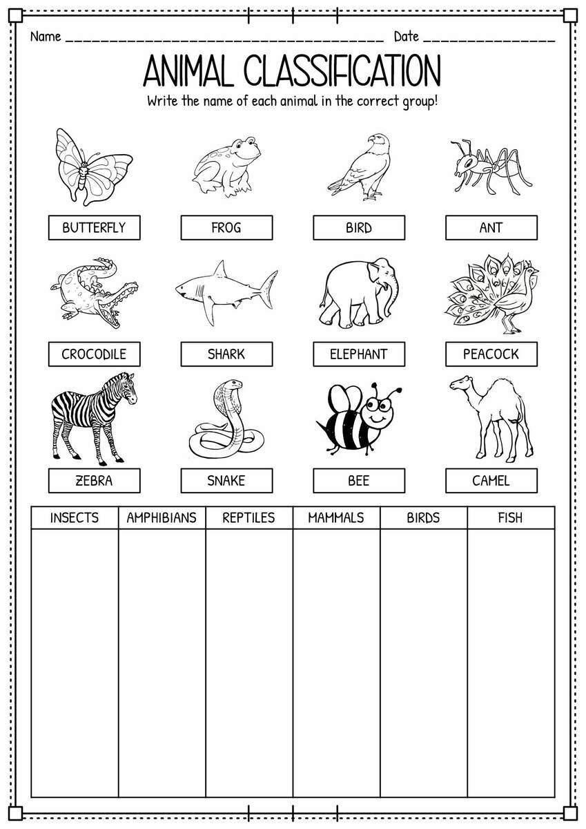 15 Classifying Animals Worksheets Preschool 15 Classifying Animals Worksheets Preschool