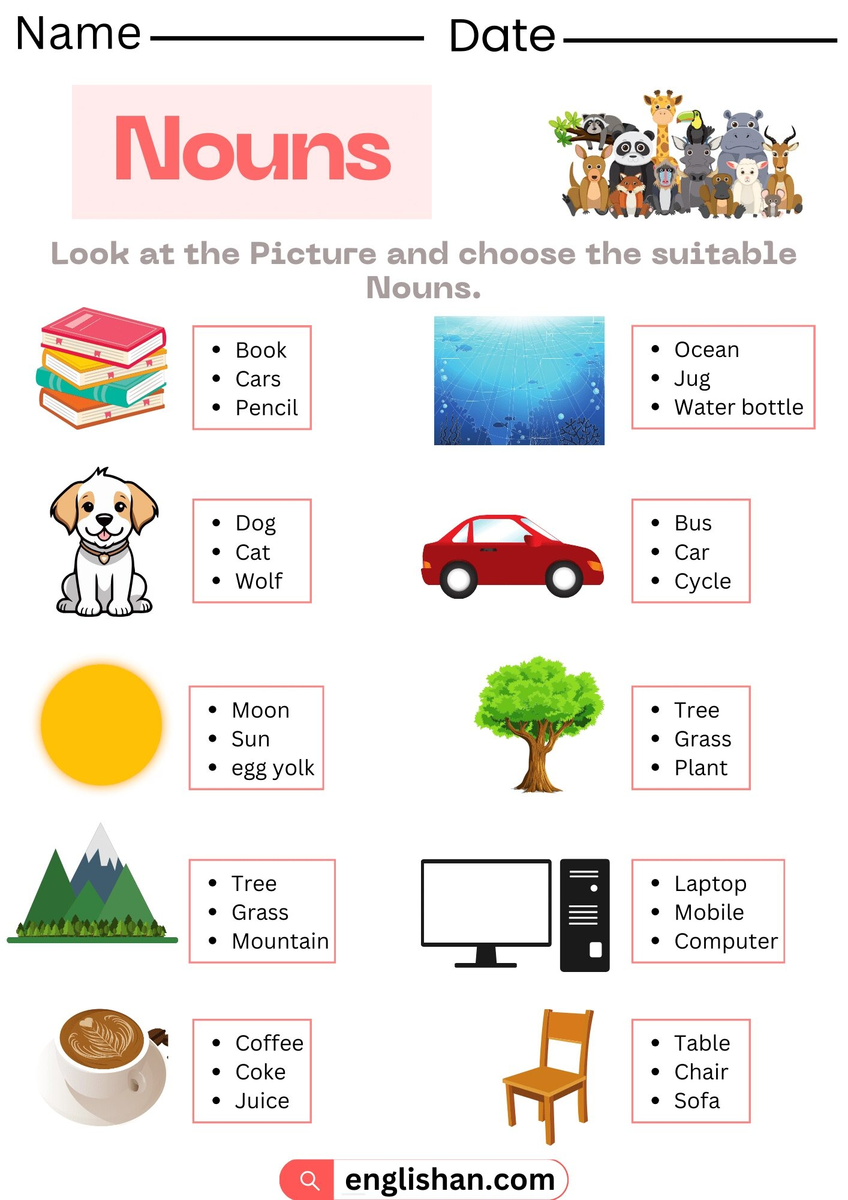 Noun Sorting Worksheet Have Fun Teaching