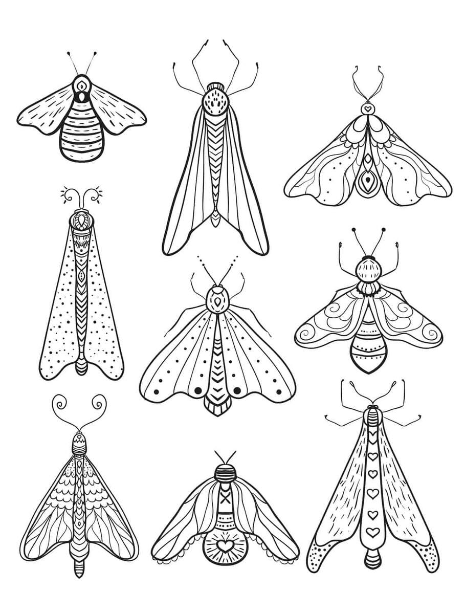 Free Printable Insect Coloring Pages For Kids