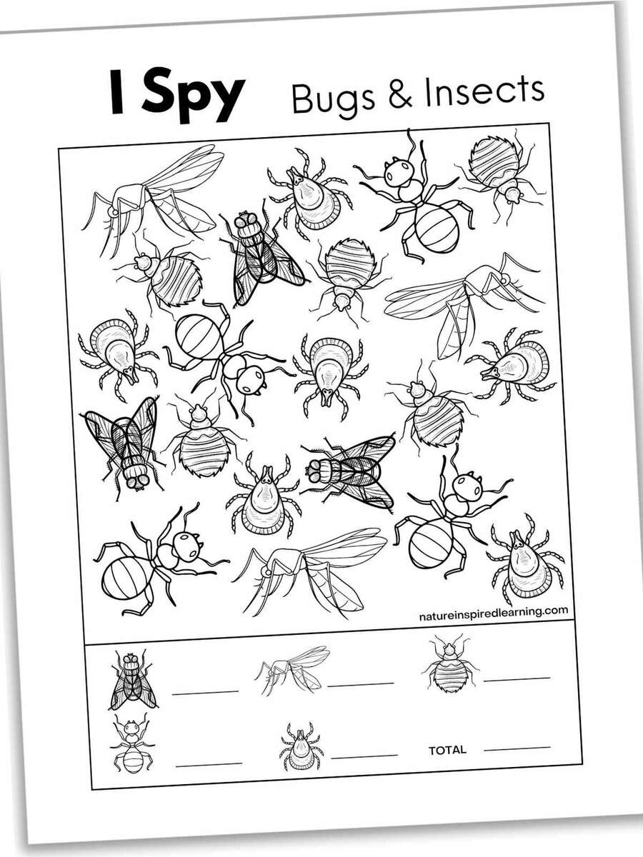 5 Bug And Insect I Spy Printables Nature Inspired Learning