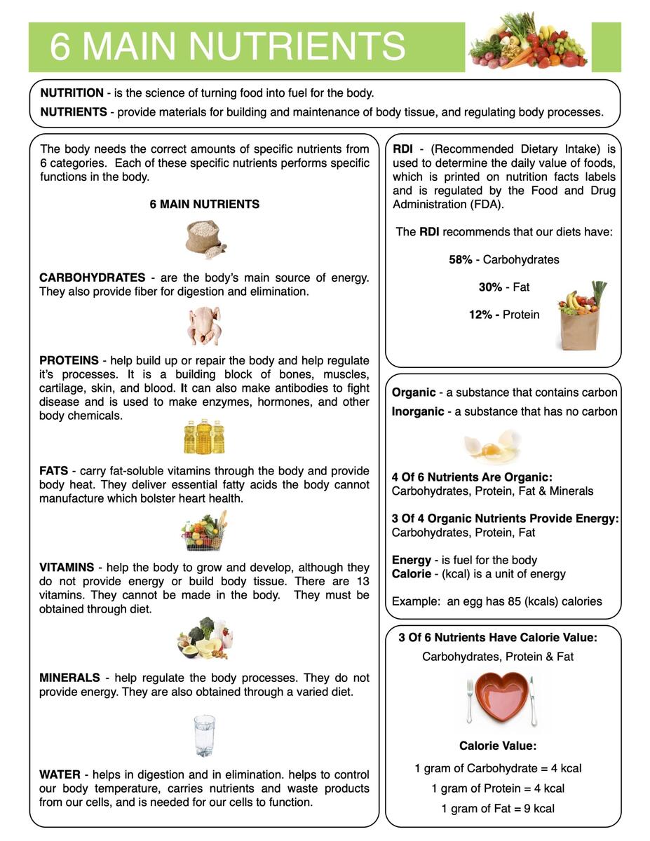 6 Main Nutrients Content Sheet Worksheet And Answer Key Made By Teachers