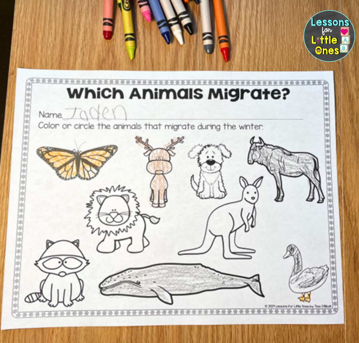 Animal Adaptations And Migration Activities Crafts And Videos For Your Animals In Winter Unit