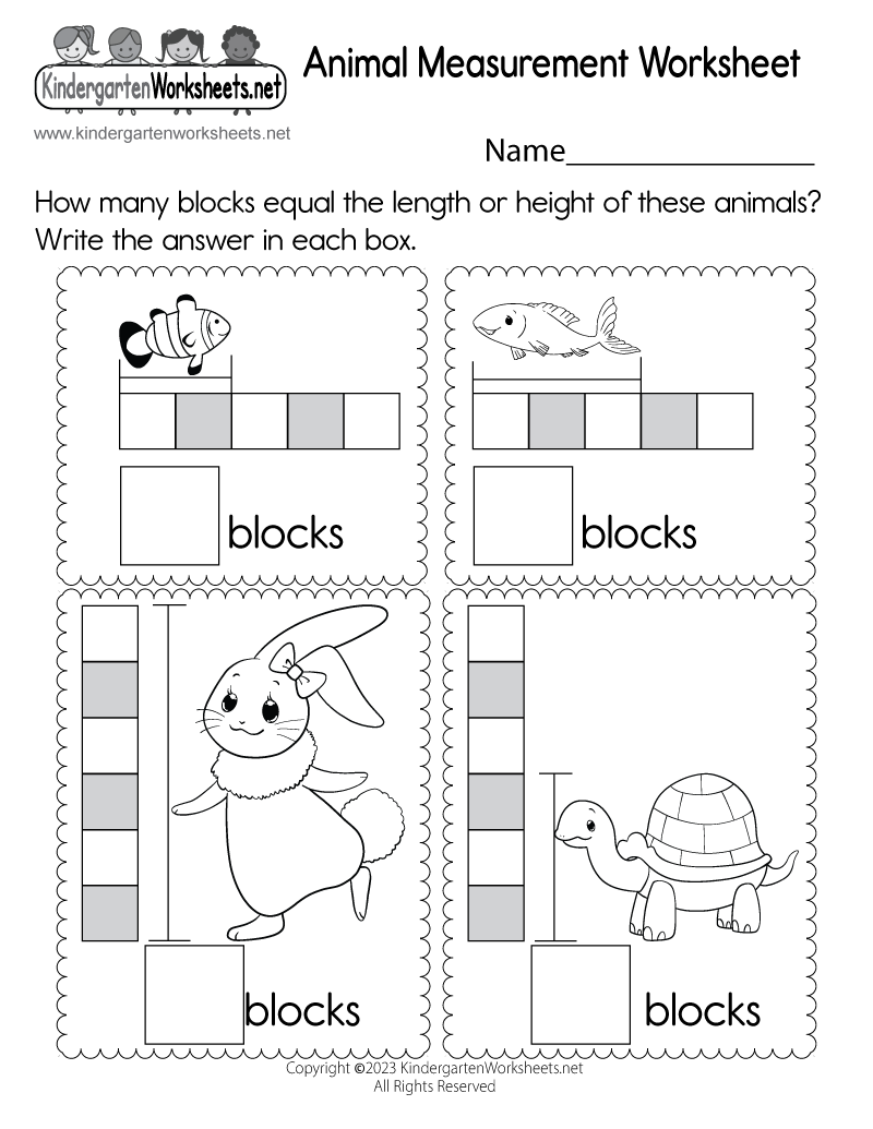 Kindergarten Measurement Worksheet Free