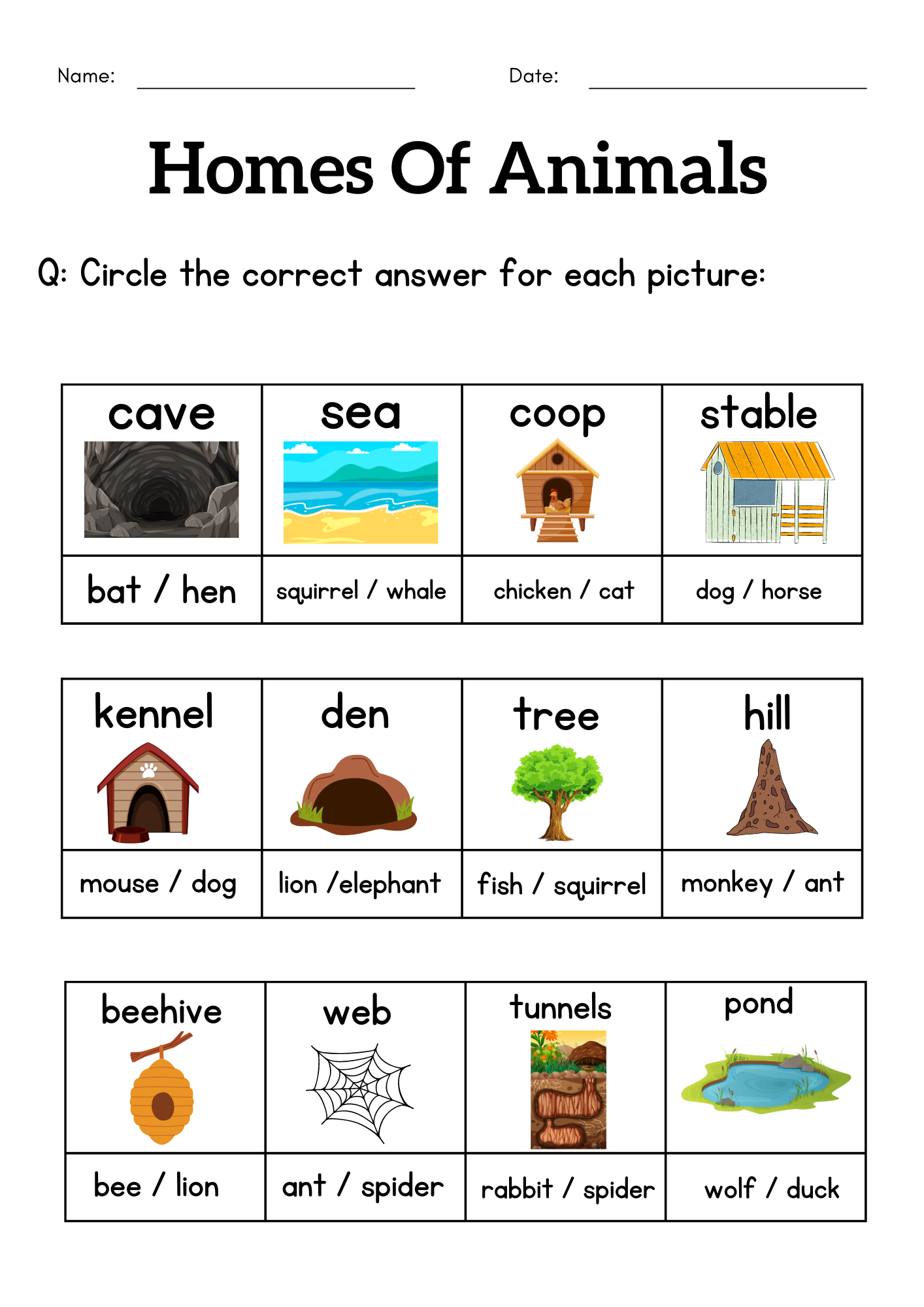 Animals And Their Homes Worksheets For Grade 1 2 3 Homes Of Animals Activity Made By Teachers