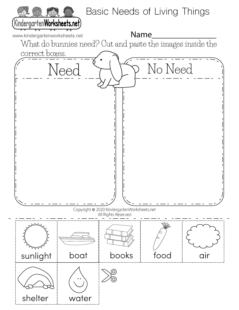 Basic Needs Of Living Things Worksheet Free Printable Digital PDF