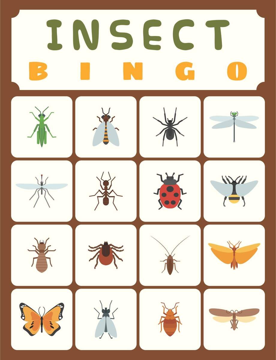 Bug Bingo Game 6 Free PDF Printables Printablee Worksheets Library