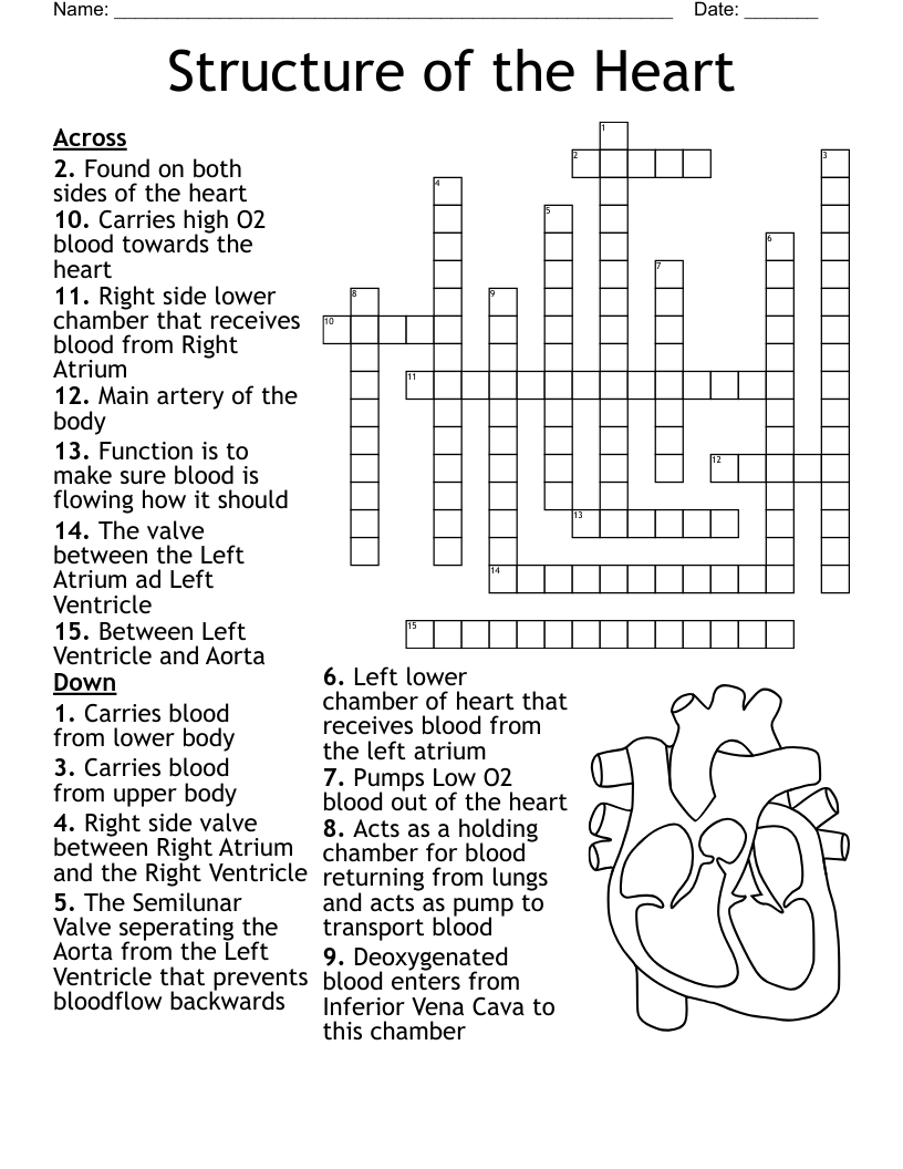 Coronary Heart Disease Hypertension Worksheet WordMint