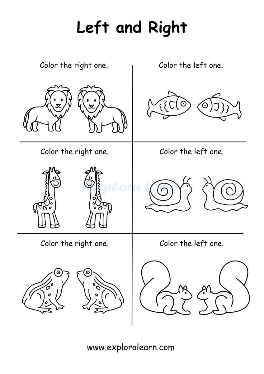 Engaging Comparison Worksheets For Preschool Kindergarten Above And Below Big And Small And More Engaging Comparison Worksheets For Preschool Kindergarten Above And Below Big And Small And More