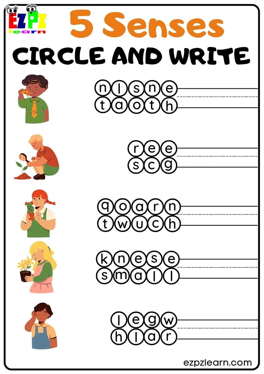 Five Senses Circle And Write Worksheet For Kindergarten And ESL Students Free Download Ezpzlearn