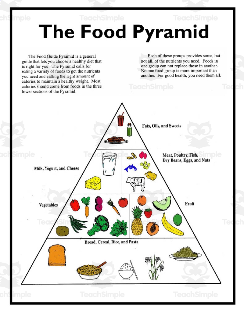 The Food Pyramid Online Activity Worksheets Library