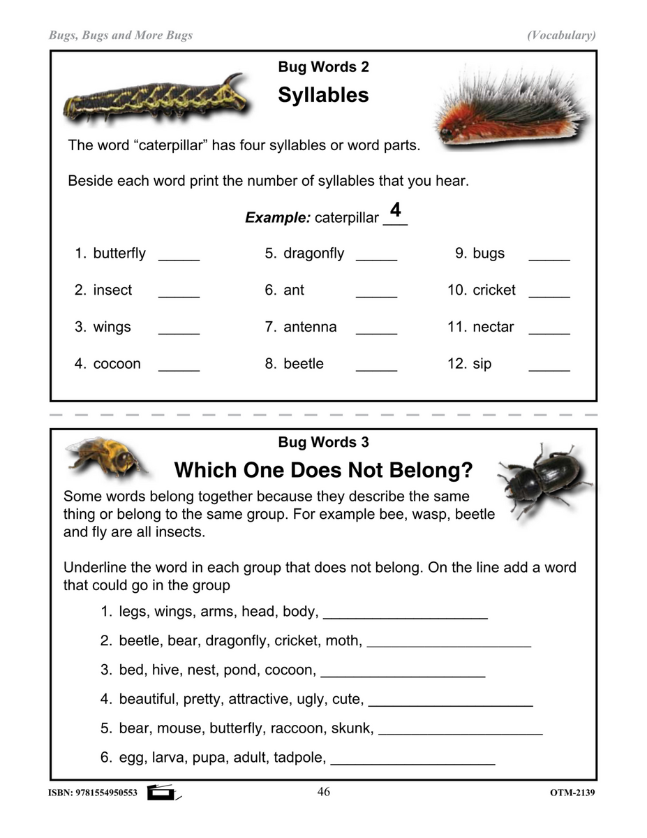 Free 3rd Grade Insect Worksheet Download Free 3rd Grade Insect Worksheet Png Images Free Worksheets On Clipart Library Insect Word Searches Nature Inspired Learning