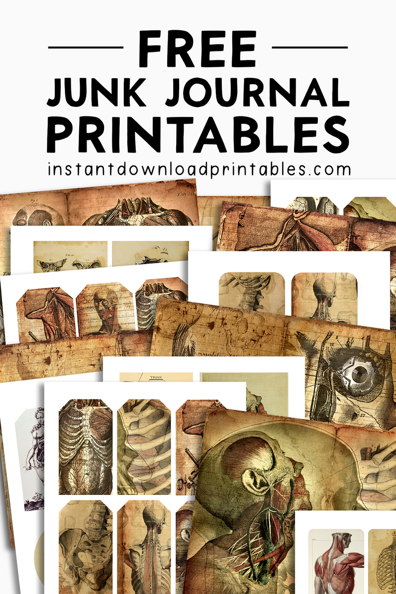 Free Anatomy Junk Journal Printables Vintage Medical Illustrations Ephemera Instant Download Printables Instant Download Printables