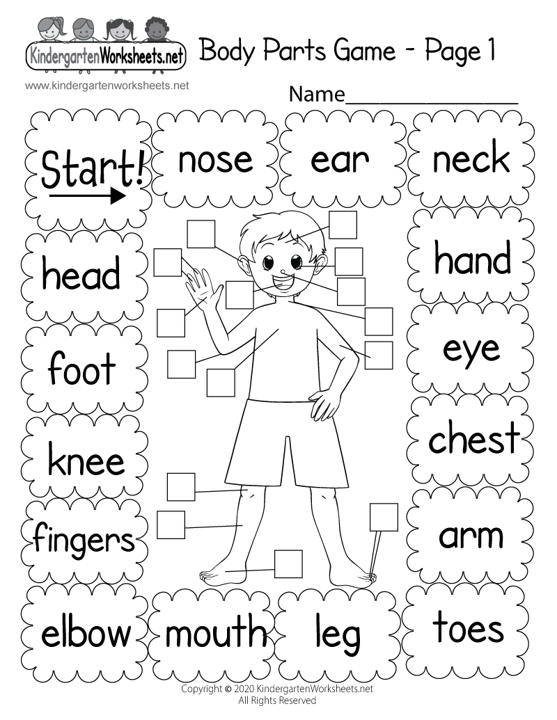 Body Parts Worksheet For Kids Royalty Free Vector VectorStock