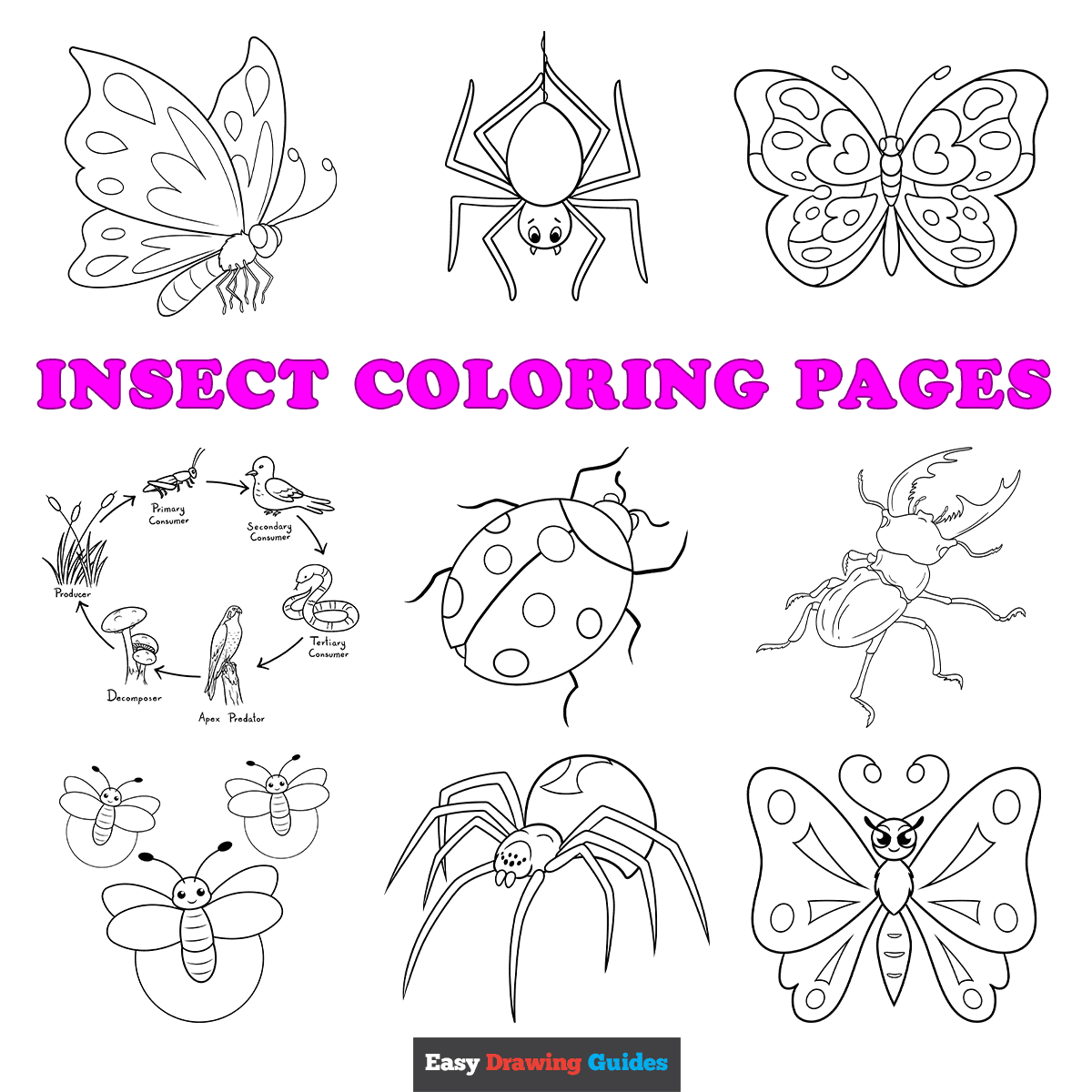 Transparent Lightning Bugs Clipart Bugs And Insects Printables HD Png Download Kindpng