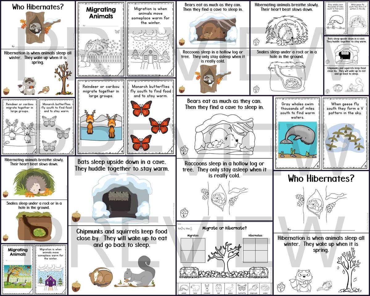 Hibernation And Migration Print And Digital Mini Books Staying Cool In The Library