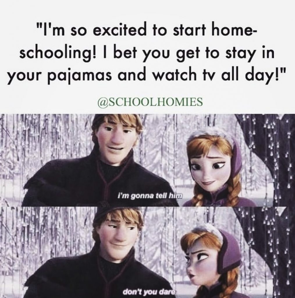 Homeschool MEMES That Will Bring A Smile To Your Face Intentional Homeschooling Homeschool Memes To Brighten Your Day Intentional Homeschooling