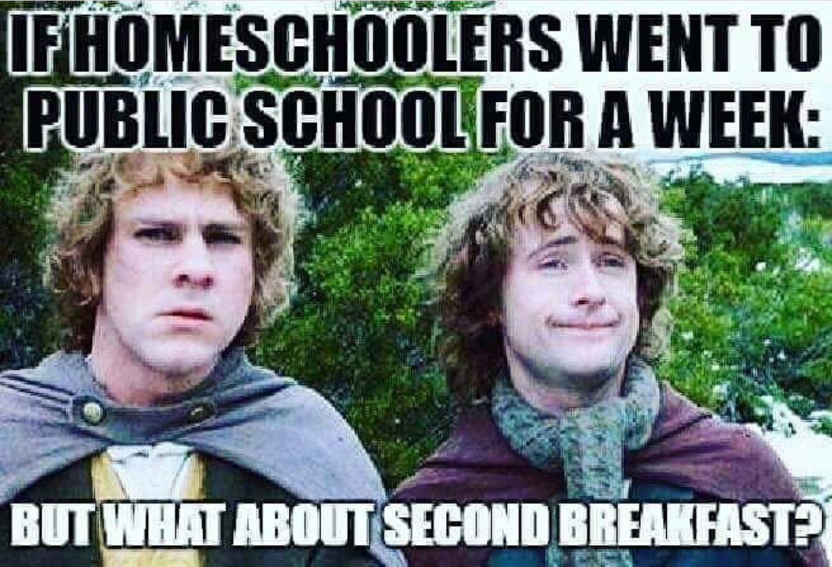 Homeschool Memes To Brighten Your Day Intentional Homeschooling Homeschool Memes To Brighten Your Day Intentional Homeschooling