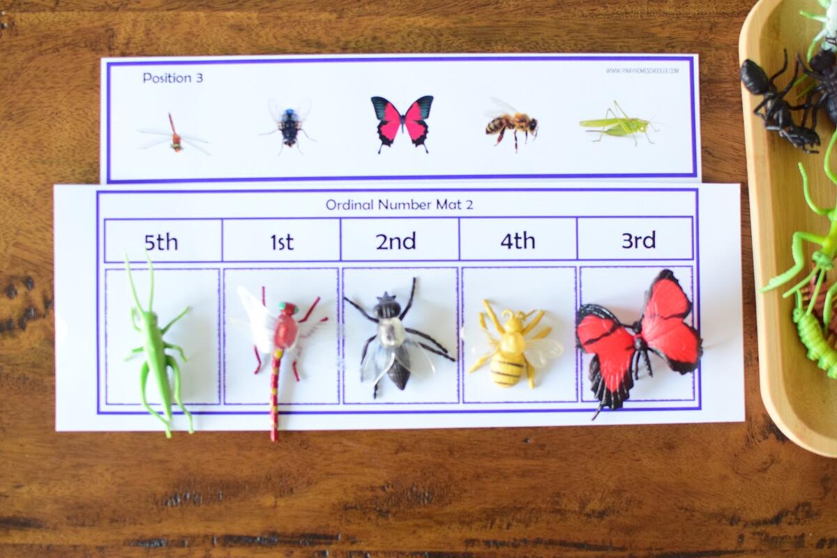 Insect Themed Lesson Plans For Kindergarten To First Grade The Pinay Homeschooler Insect Themed Lesson Plans For Kindergarten To First Grade The Pinay Homeschooler