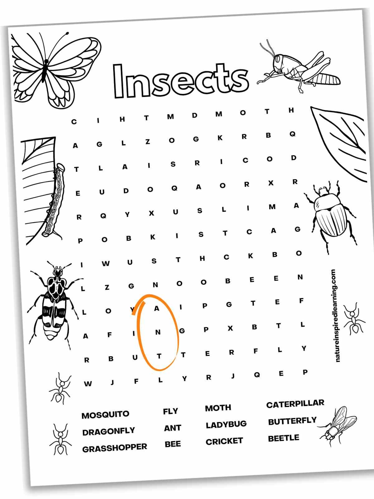 Insect Word Searches Nature Inspired Learning Insect Word Searches Nature Inspired Learning