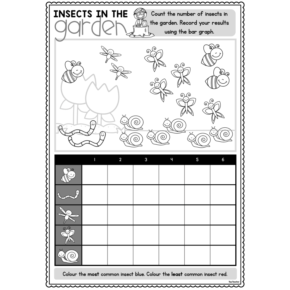 Insects In The Garden Data Collection Graphing Activity Top Teacher
