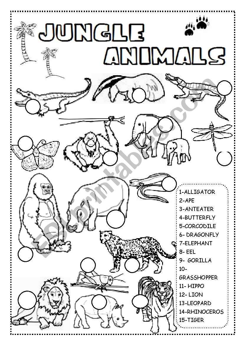 Wild Animals Free Worksheet SKOOLGO