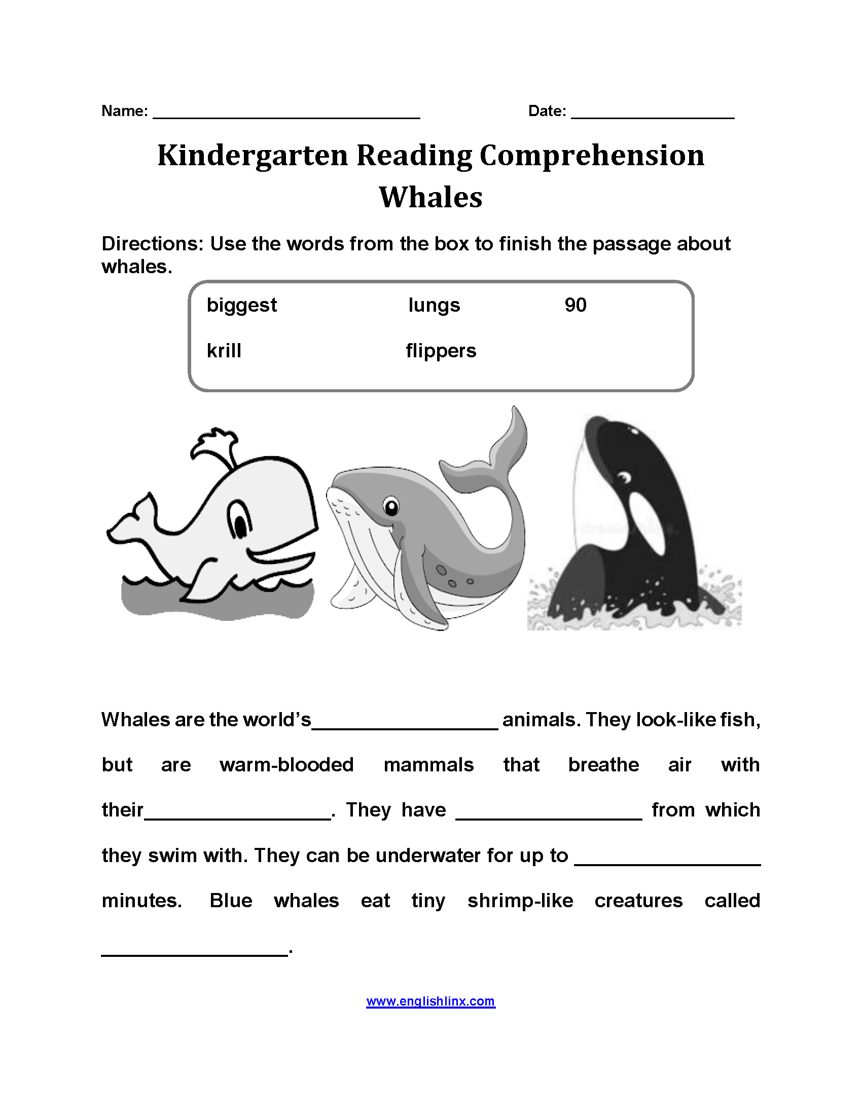 Kindergarten Reading Comprehension Worksheets Free Printable Passages And Questions Kindergarten Reading Comprehension Worksheets Free Printable Passages And Questions