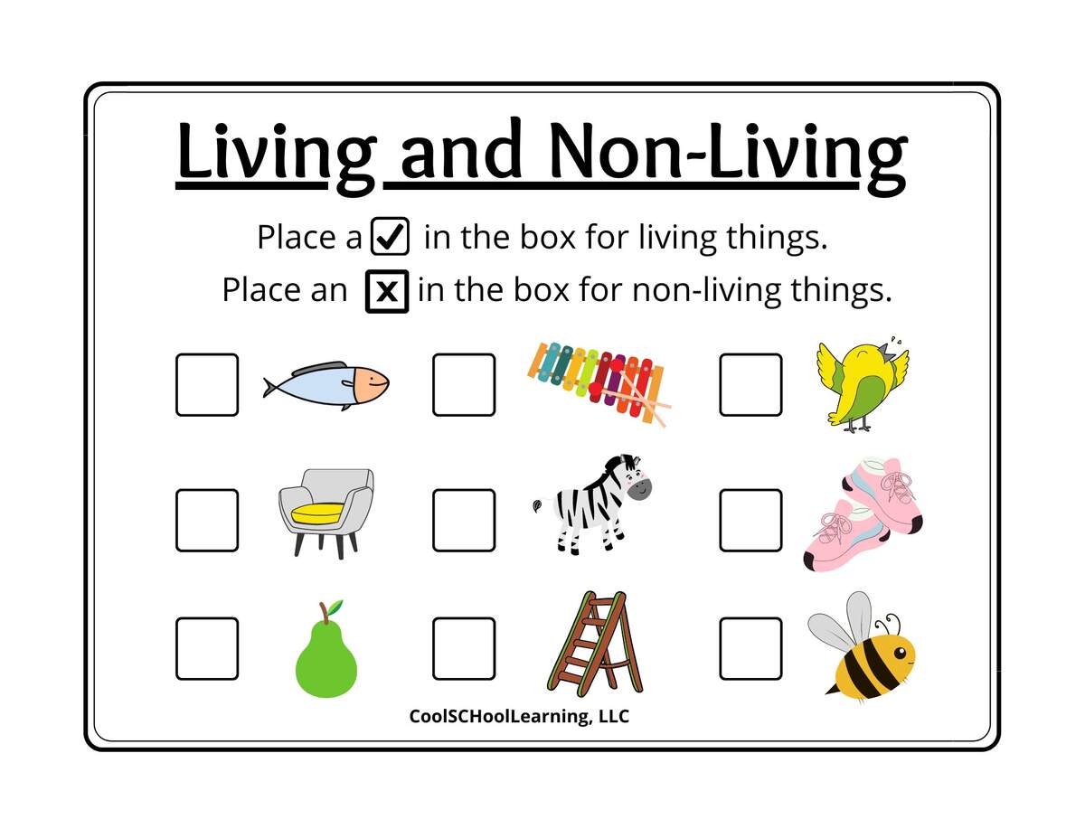Living And Non living Printable Preschool Activities Kindergarten Readiness PDF Digital Download Etsy