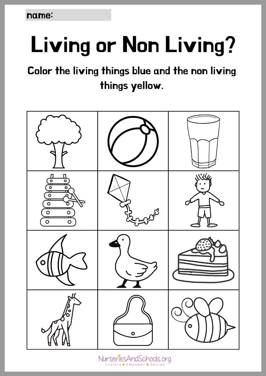 Living And Non Living Things Coloring Worksheet