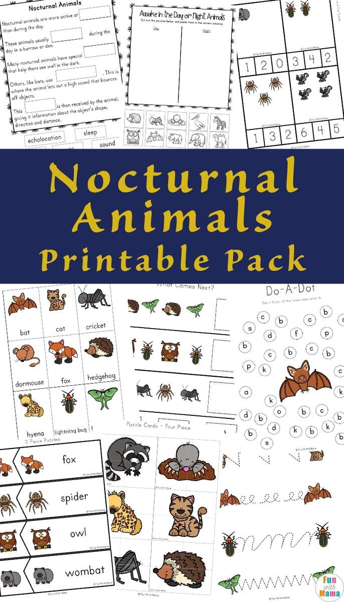 Nocturnal Animals For Kids Fun With Mama Nocturnal Animals Preschool Science Set