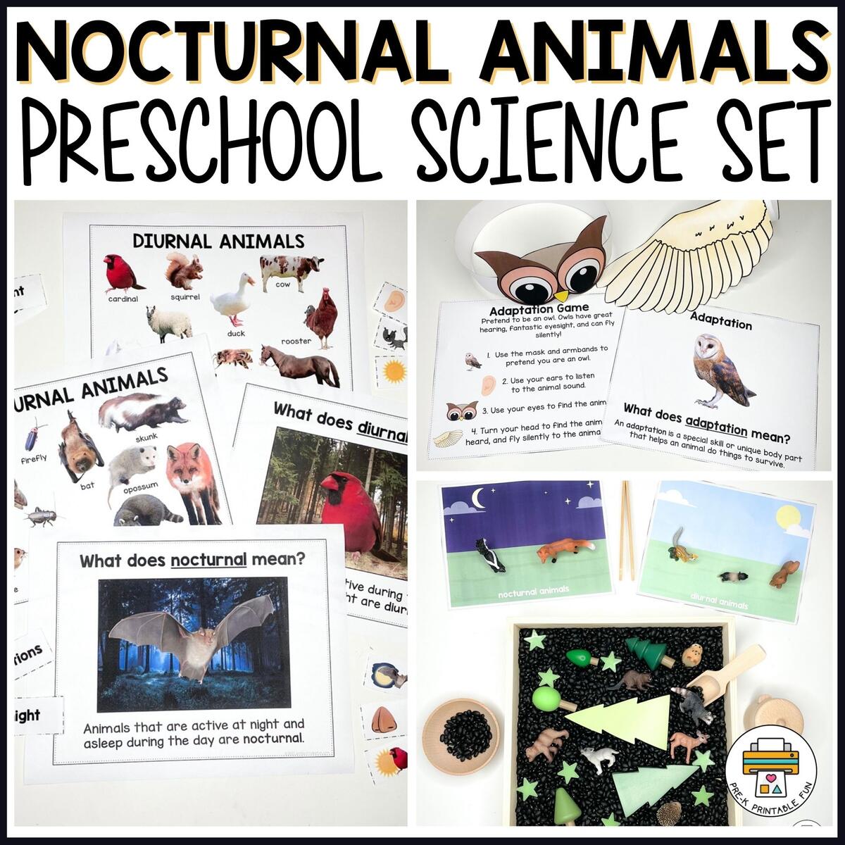 Nocturnal Animals Preschool Science Set Nocturnal Animals Preschool Science Set