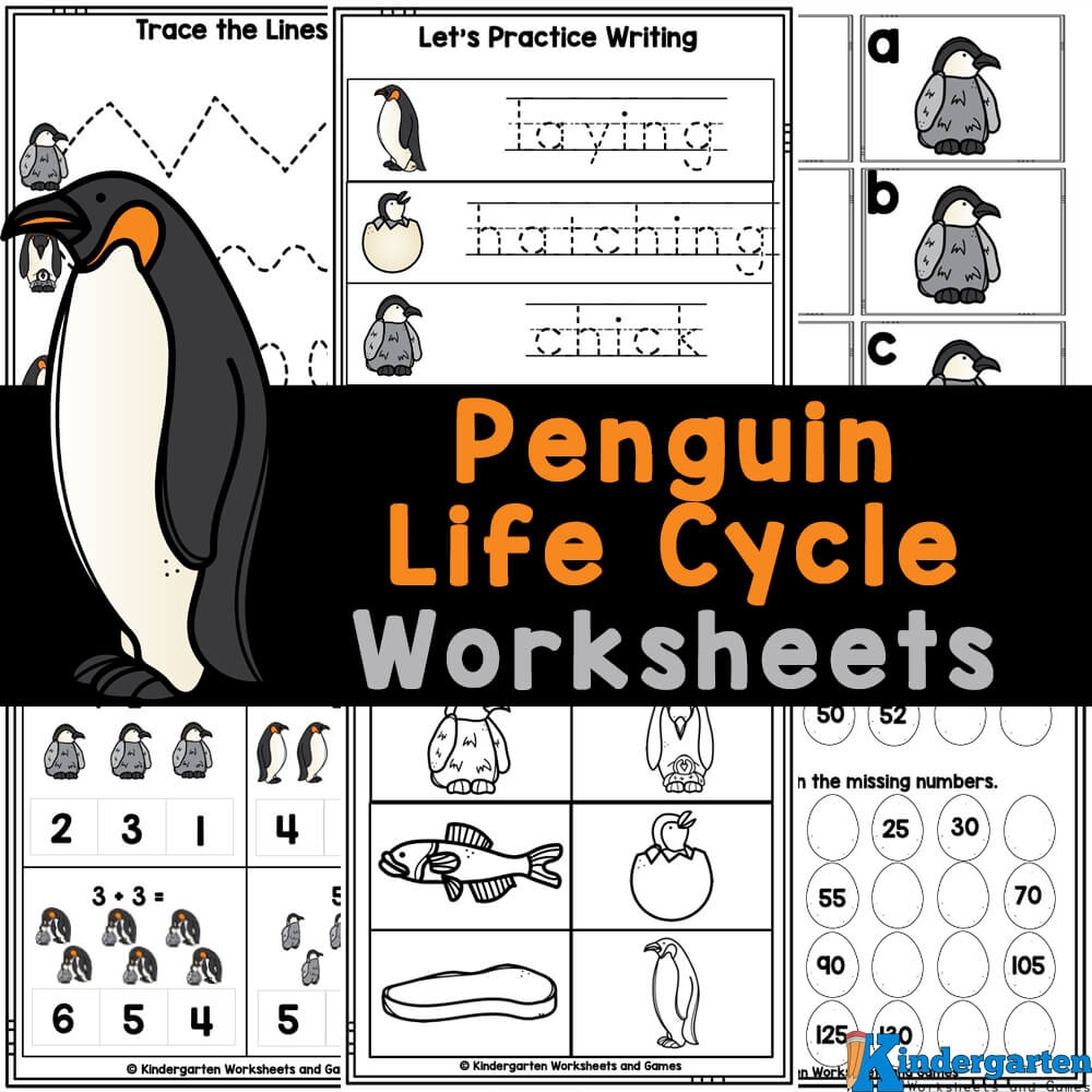 Parts Of Penguin Worksheets Free Printable