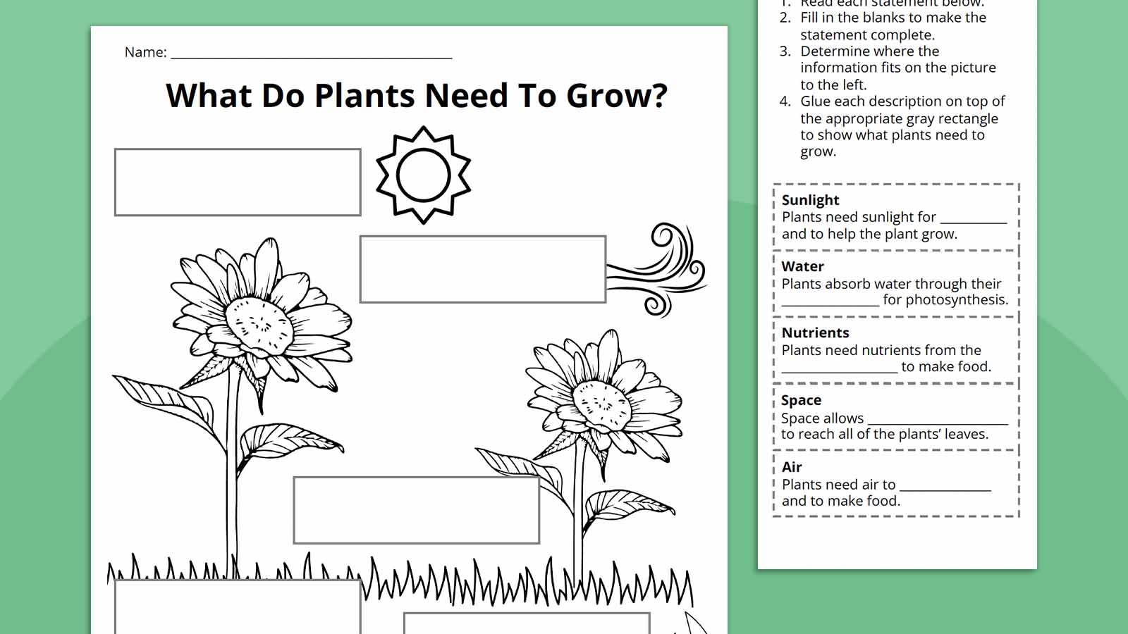Plant Life Cycle Worksheet Bundle Free Printables Plant Activities For Kindergarten In Every Subject 4 Kinder Teachers