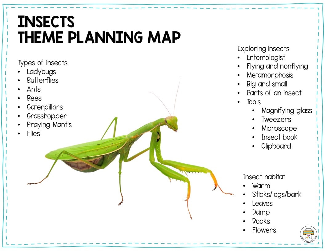 Preschool Insects Lesson Planning Ideas Pre K Printable Fun 5 Insect Preschool Activities Crawling With Fun For Literacy Centers