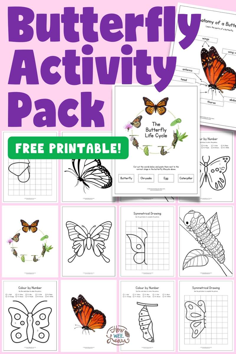 Printable Butterfly Worksheets How Wee Learn