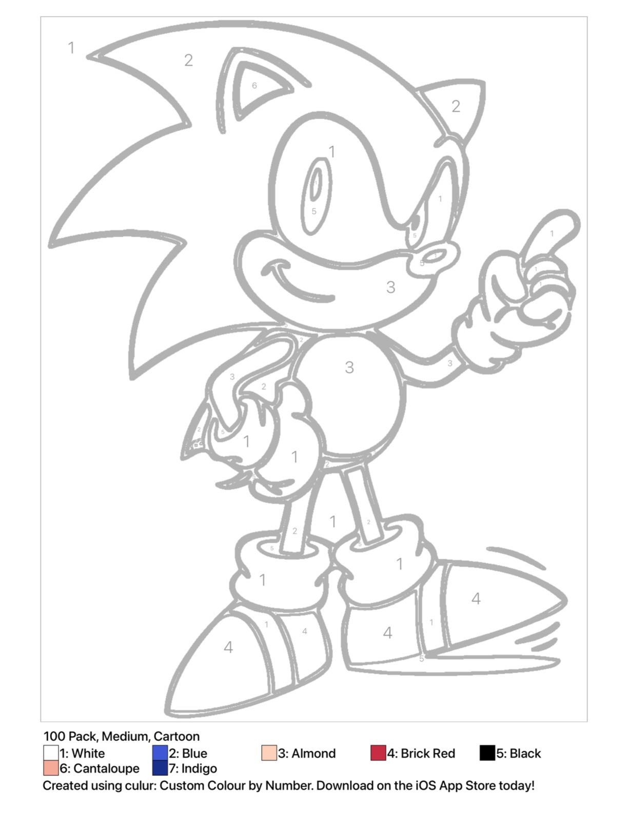 Printable Color By Number Of Sonic Great For Adults And Kids R SonicTheHedgehog Sonic Coloring Page Color By Numbers Printable PDF Etsy Israel