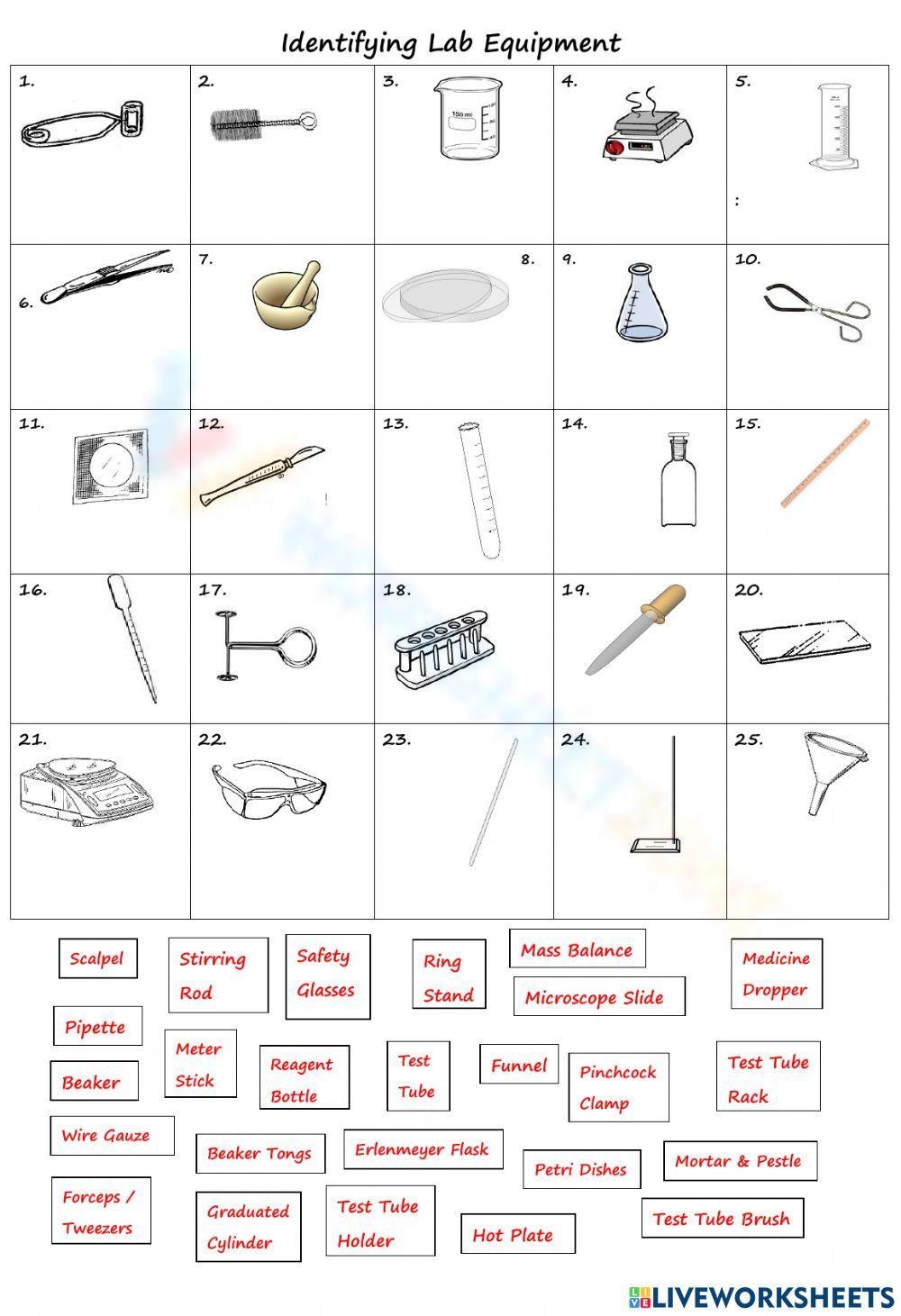 Printable Grade 8 Lab Equipment Worksheets Download Printable Grade 8 Lab Equipment Worksheets Download